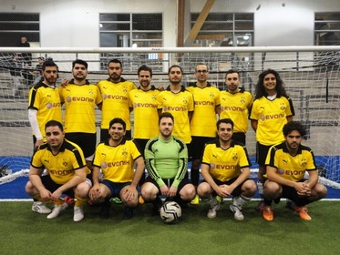 Fc valence